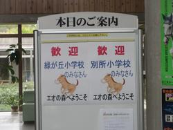 歓迎