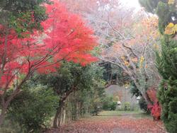 体育館横の通路の様子