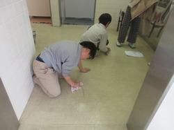 トイレの床をみがく