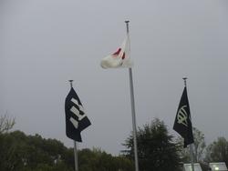 雨風が強い中の3本の旗