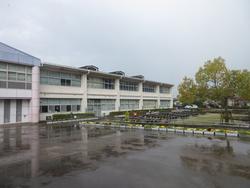 どしゃぶりの3月31日