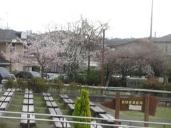 こさめまじりの学校