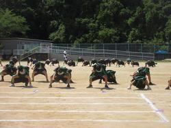 最近の運動場