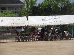 テント下