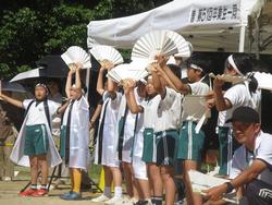 白組応援