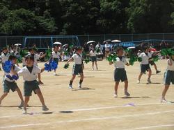ピヨピヨ