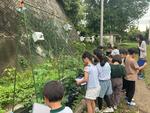 生活の学習で、カメラも使ってみました。