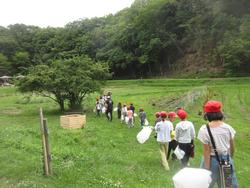 玉ねぎの畑へ