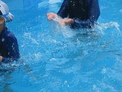 水をすくってみたよ