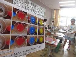 科学作品みてみて