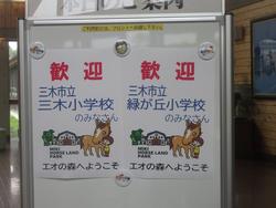 歓迎