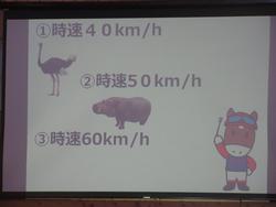 クイズ