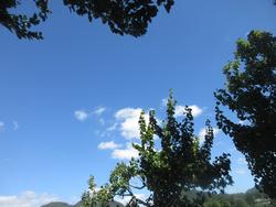 青い空