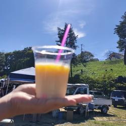 ミルクフローズン