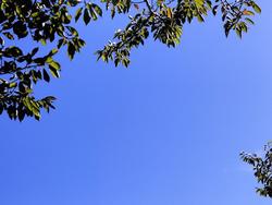 青空