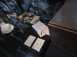展示
