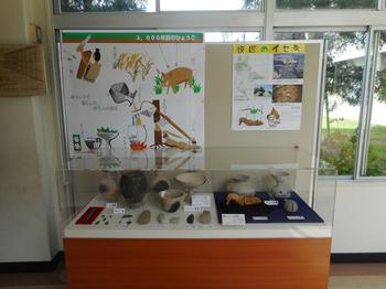 展示全体