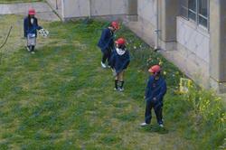 中庭の花壇でカタバミをさがす3年生