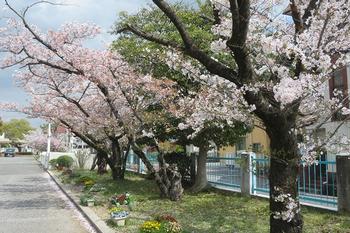 三樹小学校