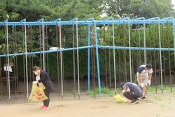 草引き