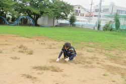 草引き