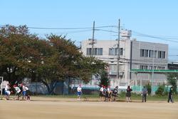 土入れ
