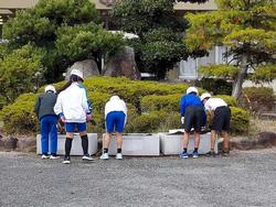 花植え