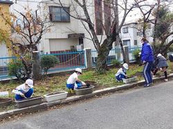 花植え