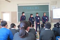 トライやる