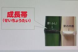 朝会