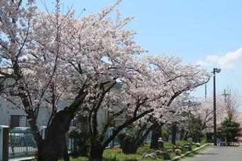 着任式