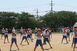表現運動