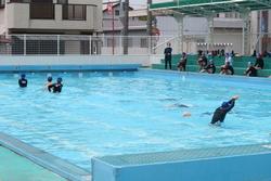 水泳学習