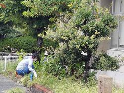 奉仕作業