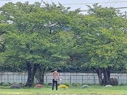 奉仕作業