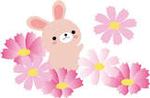 ほけんだより