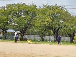 草引き