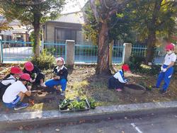 花植え