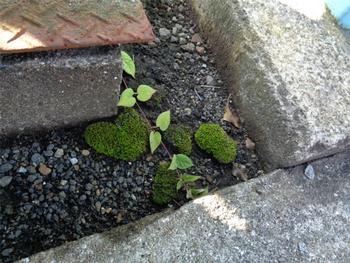 駅のふうけい