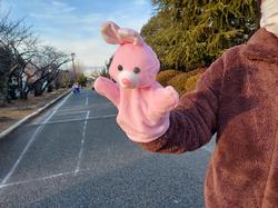 うさぎ