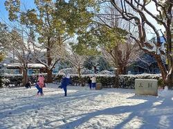 雪