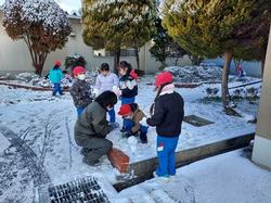 雪