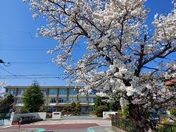 学校