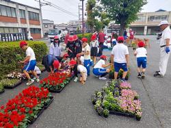 花植え