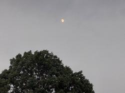 星空観察