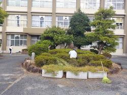 奉仕作業