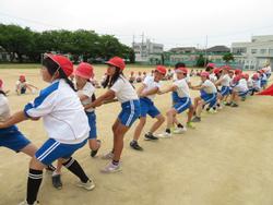 5・6年生綱引きの練習