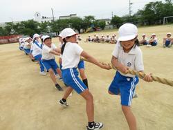5・6年生綱引きの練習