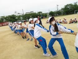 5・6年生綱引きの練習
