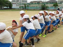5・6年生綱引きの練習